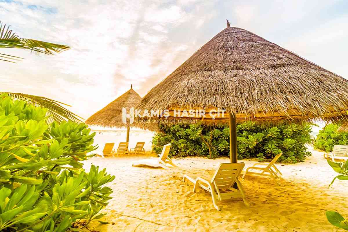 Kamış Çatı Kaplama