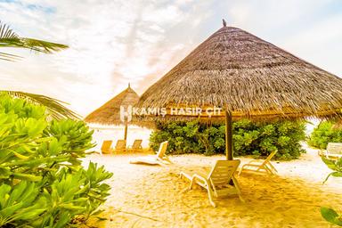 Kamış Çatı Kaplama