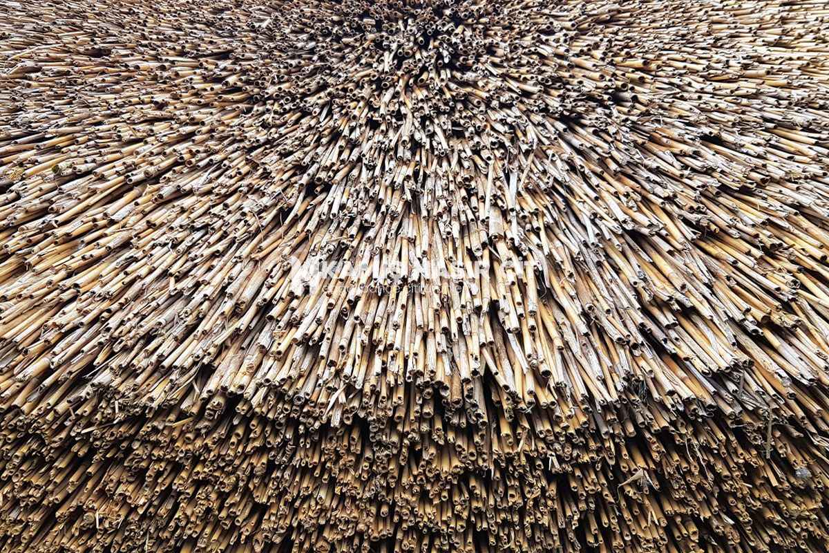 Kamış Çatı Kaplama