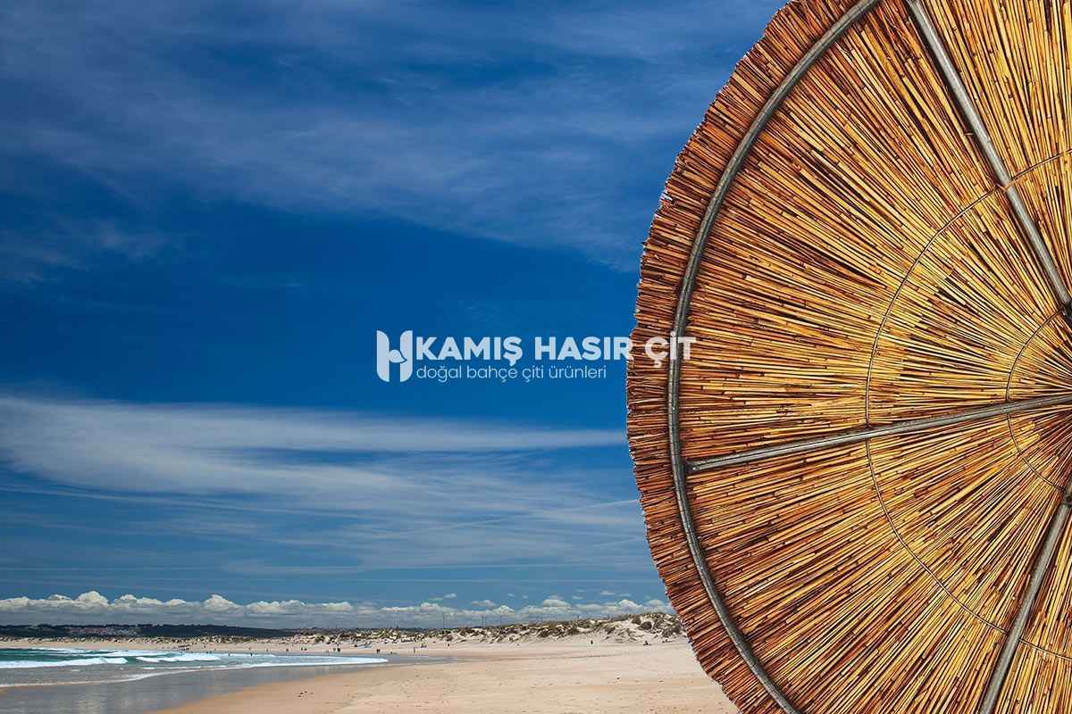 Bambu Şemsiye