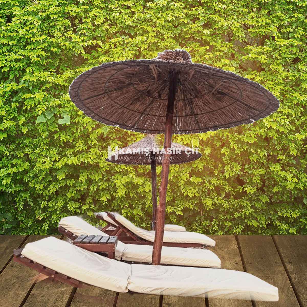 Eko Terapi Nedir? Detaylı Anlatım